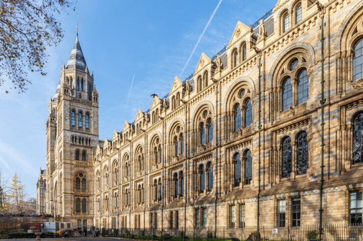 London: Natural History Museum Tour - Activity Details