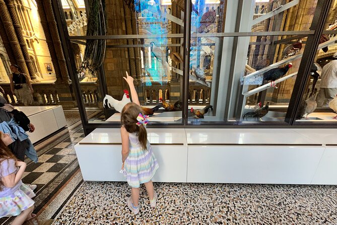 London Natural History Museum With Dinosaurs Gallery Private Tour for Kids - End Point and Cancellation Policy