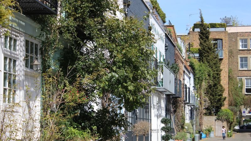 London Notting Hill 2-Hour Guided Walking Tour - What the guide adds