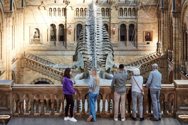 London: Official Natural History Museum Tour - Highlights - A Closer Look at the Tour Experience