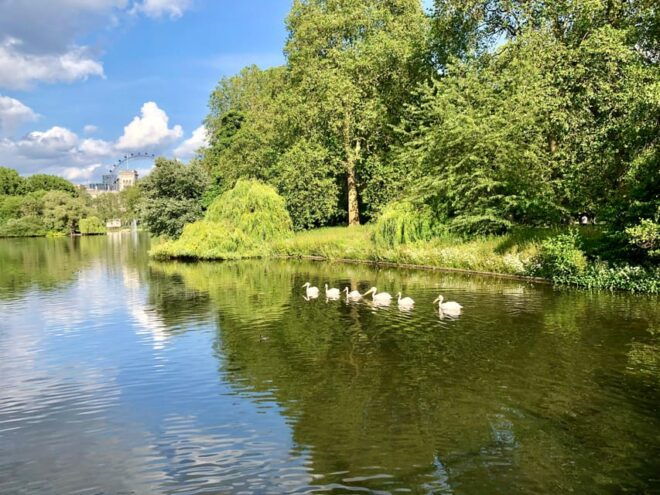 London: Parliament & Palaces Private Walking Tour With Guide - Tour Experience