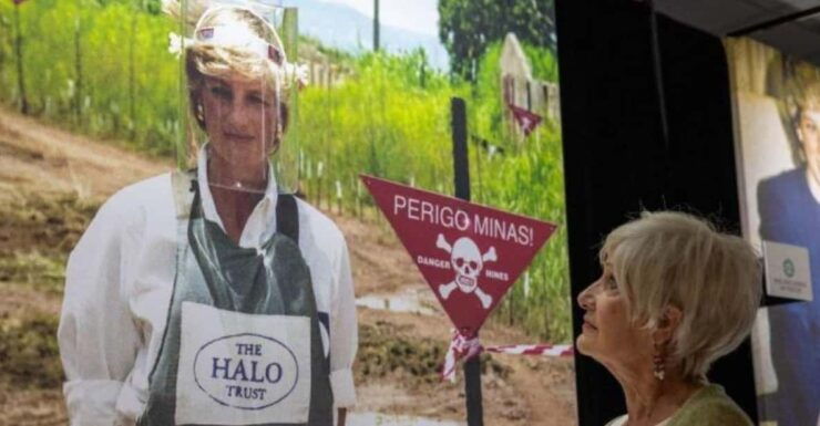 London: Princess Diana Exhibition & Westminster Walking Tour - Itinerary and Highlights