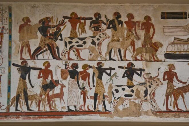 London: Private British Museum Tour - Selecting Participants and Date