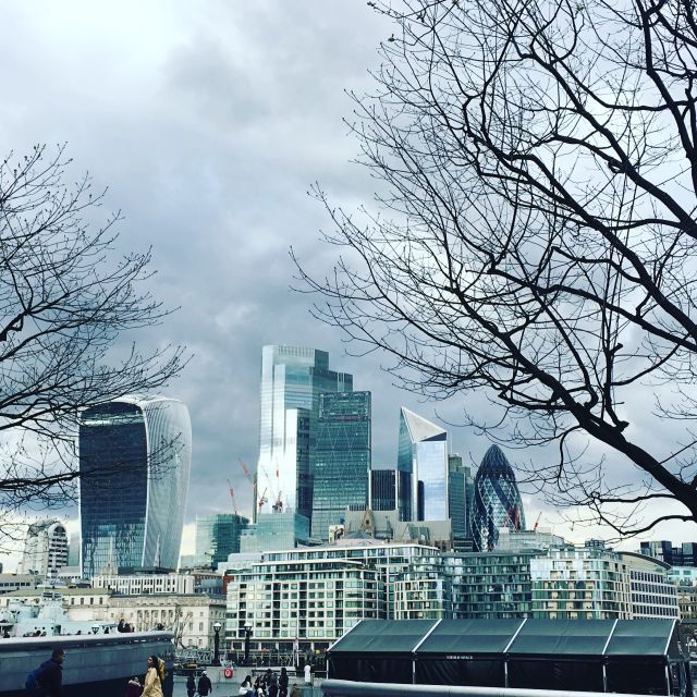 London: Private Intro Walk With a Local Guide - Booking Details