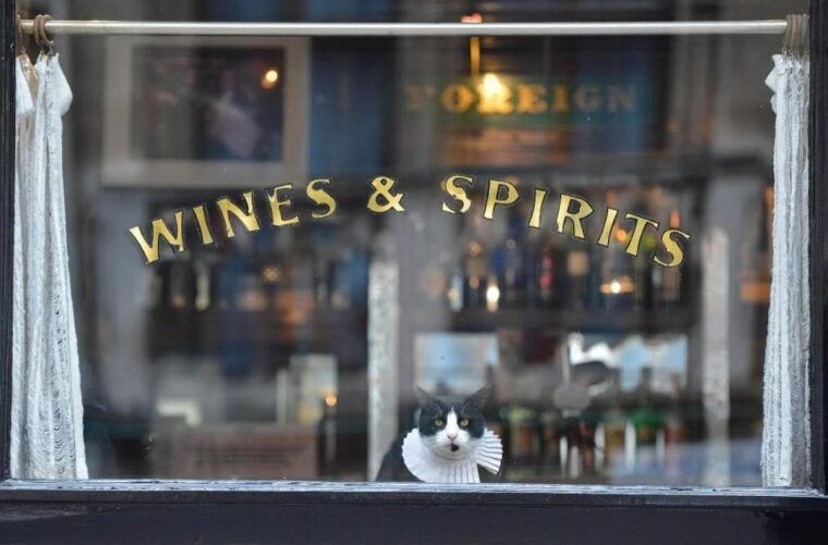 London: Private Secret Pub Walking Tour + beer all inclusive - The Value of the Experience  