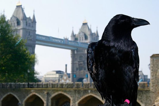 London Private Walking Tour: The Tower of London and Tower Bridge - The Sum Up
