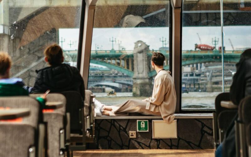 London: River Thames Hop-On Hop-Off Sightseeing Cruise - Who Is This Cruise Best For?