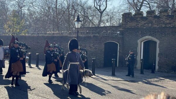 London: Royal Family and Changing of the Guards Walking Tour - The Sum Up