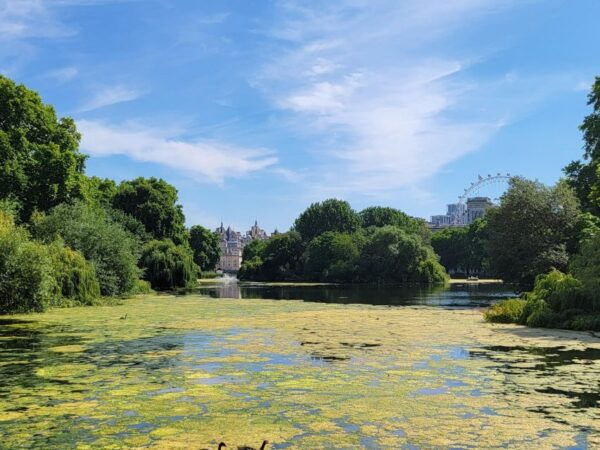 London: Royal Walking Tour and Buckingham Palace Audio Tour - Additional Information