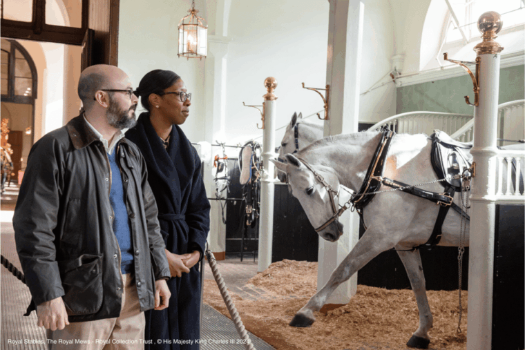 London: Royal Walking Tour with Guard Change & Royal Mews - The Sum Up