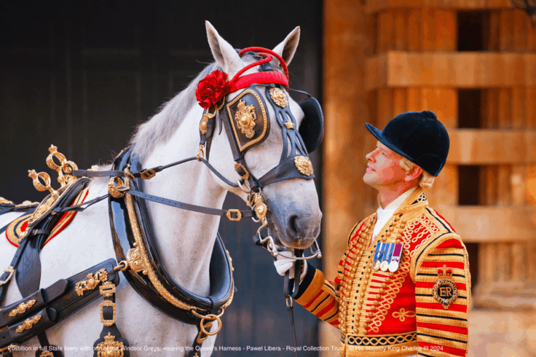 London: Royal Walking Tour with Guard Change & Royal Mews - FAQ