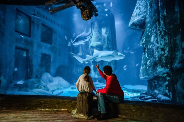 London: SEA LIFE Entry Ticket - Important Information