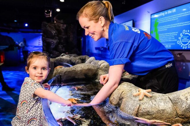 London: SEA LIFE Entry Ticket - Reserve Now & Pay Later