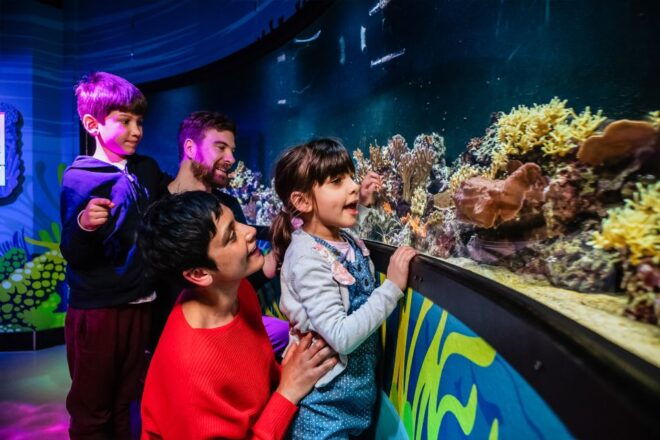 London: SEA LIFE Entry Ticket - Miscellaneous Details