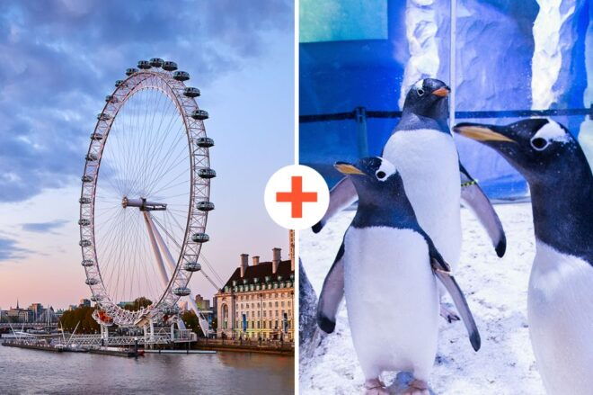 London: SEA LIFE & London Eye Combo Ticket - London Eye Experience