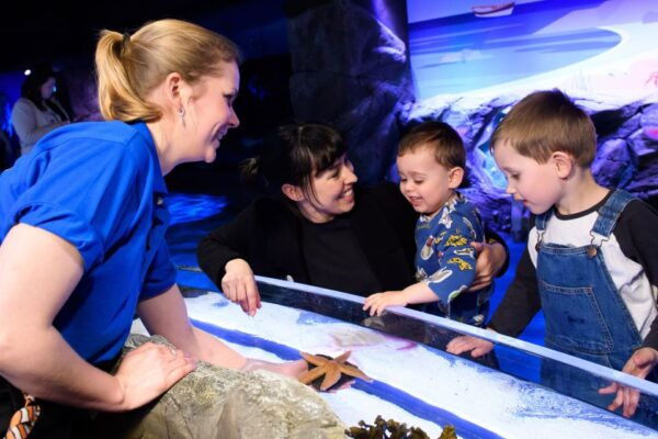 London: SEA LIFE & London Eye Combo Ticket - Common Questions
