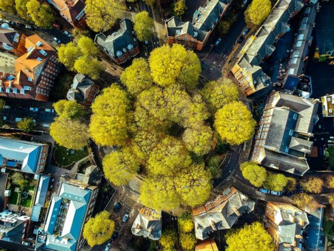 London: Shoreditch Shuffle City Exploration Game - Refreshment Stops