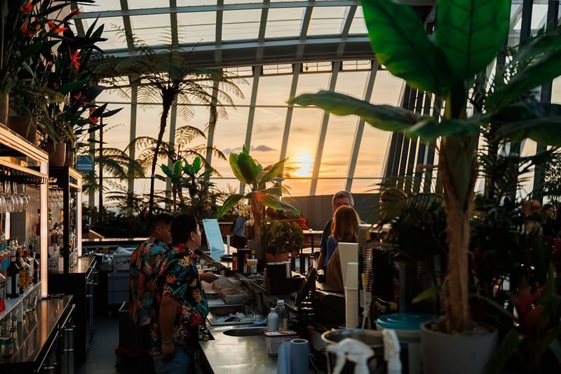 London: Sky Garden Music Night Ticket & Glass of Champagne - Making sense of the price
