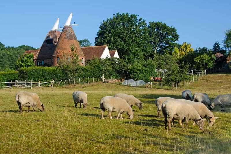 London: Small Group Canterbury, Dover & Kent Villages Tour - Who Would Love This Tour