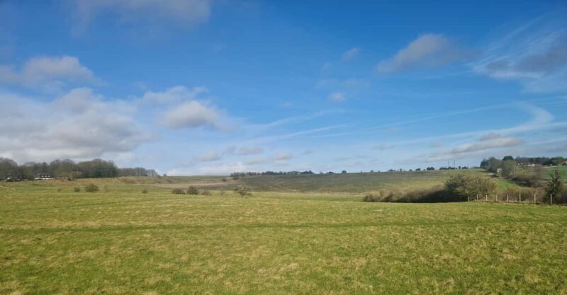 London: Stonehenge and Woodhenge Private Black Cab Tour - Introduction