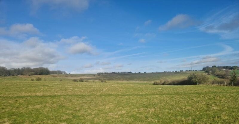 London: Stonehenge and Woodhenge Private Black Cab Tour - What Makes This Tour Truly Valuable?