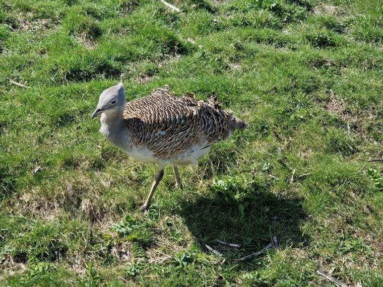 London: Stonehenge and Woodhenge Private Black Cab Tour - Frequently Asked Questions