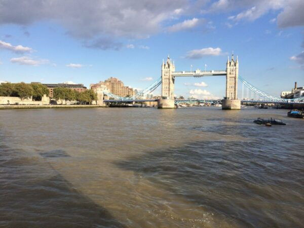 London: Thames Cruise to Greenwich With Private Guide - Customers Disappointment and Concerns