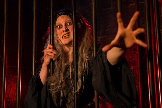 London: The London Dungeon and London Eye Combo Ticket - Booking and Payment Options