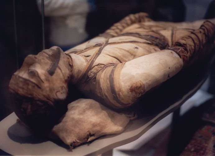 London: Tour of the British Museum - Who Should Consider This Tour?