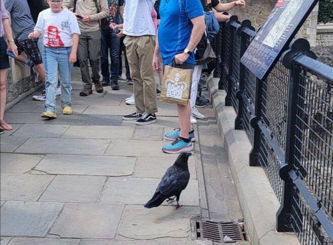 London: Tower of London Guided Tour With Boat Ride - Guided Tour of the Tower of London