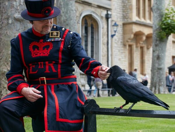 London: Tower of London, Hop-on, Hop-off Bus & River Cruise - Flexible Cancellation Policy