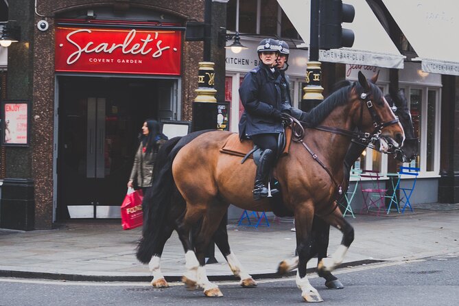 London VIP Taxi Tour: Explore With a Local Cabbie - Accessibility and Participant Details