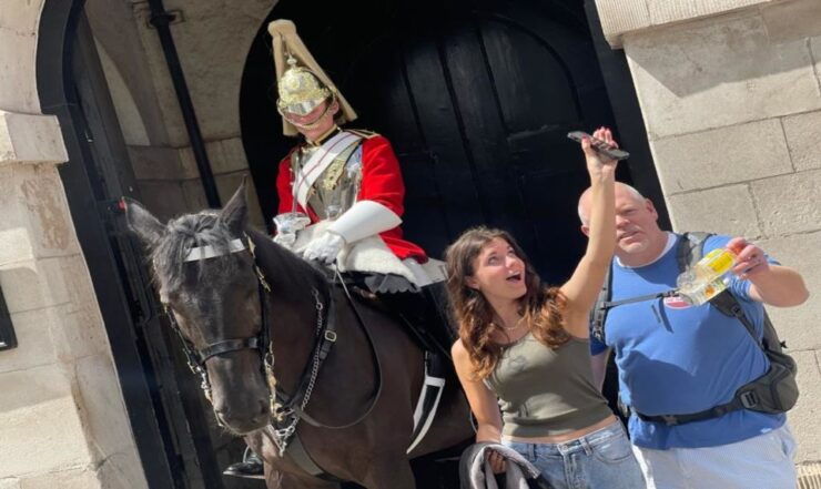 London: Westminster and Changing of the Guard Tour - Tour Highlights