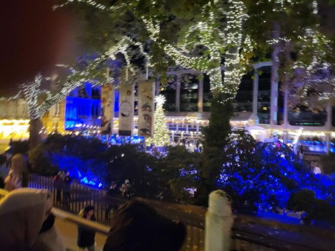 London: Winter Lights Open-Top Bus Tour With Guide - Detailed Description of the Tour