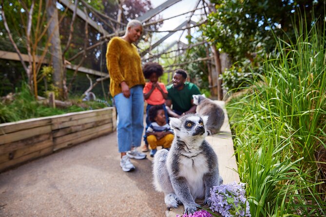 London Zoo Entry Ticket - Selecting a Date and Booking Options