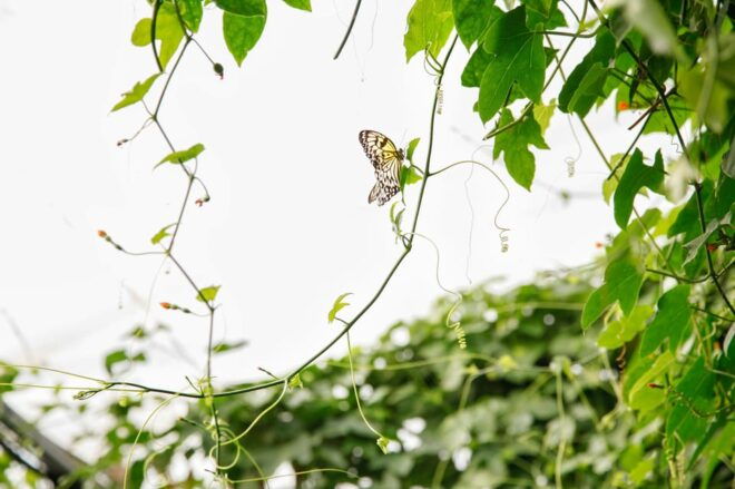 London Zoo: Entry Ticket - Visitor Guidelines