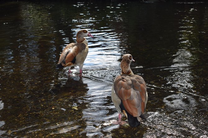 Londons Best Kept Secret Bike Tour - Tips for a Great Experience