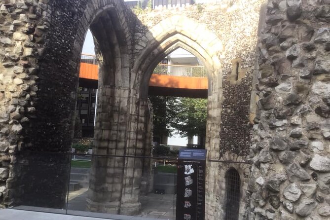 London's Millennia of Medical Progress Private Historical Tour - Tour Highlights