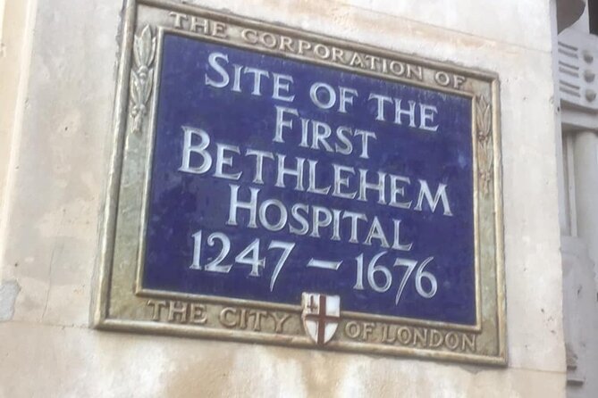 London's Millennia of Medical Progress Private Historical Tour - Expert Tour Guide