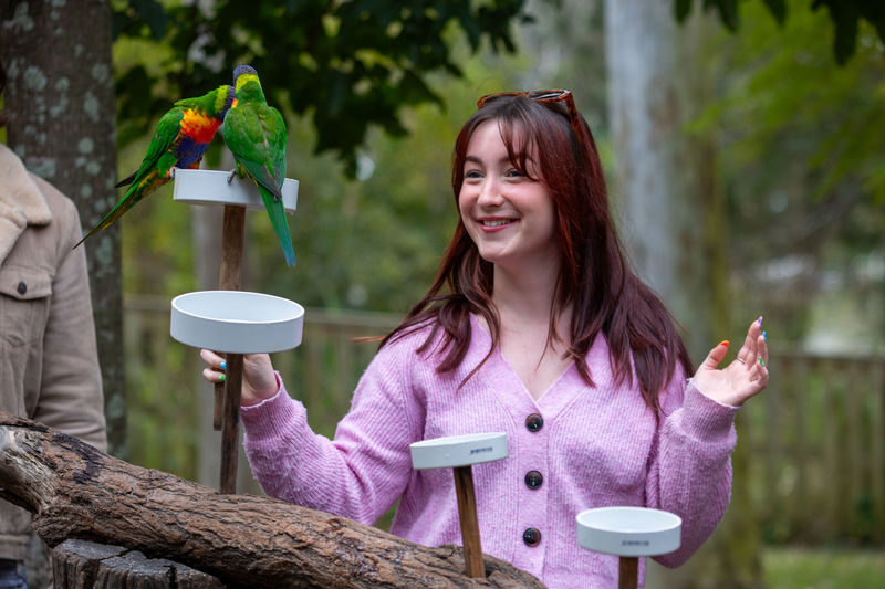 Lone Pine Koala Sanctuary Entry Ticket - Keeper talks and shows break up the day