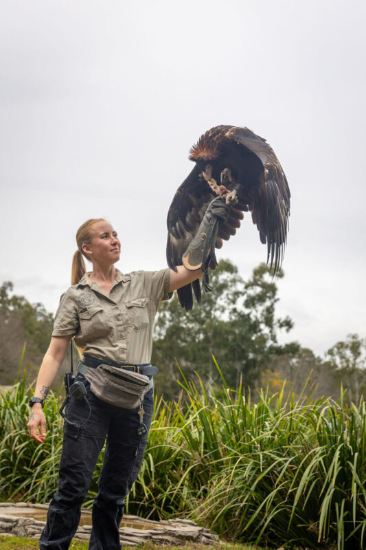 Lone Pine Koala Sanctuary Entry Ticket - How much time and money to allow