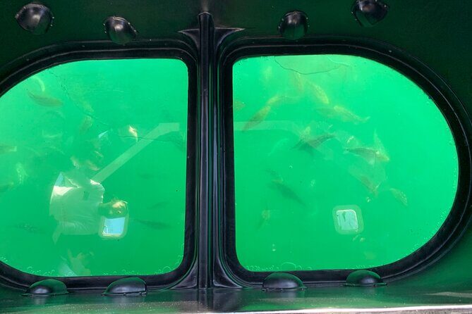 Long Beach Glass Bottom Boat Eco-Tour - Long Beach Glass Bottom Boat Eco-Tour Review