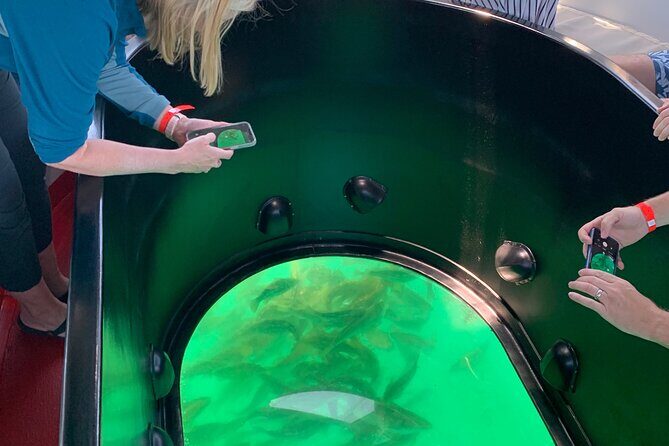 Long Beach Glass Bottom Boat Eco-Tour - Frequently Asked Questions