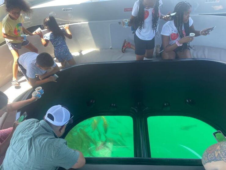Long Beach: Glass Bottom Boat Harbor Ecotour - Activity Details