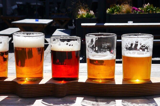 Long Island Wine Tour North Fork Sights Bites Flights Half Day PM - Who Is This Tour Best For?