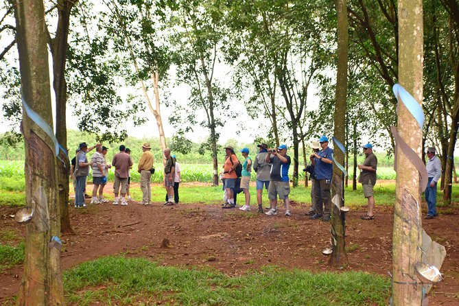 Long Tan Nui Dat Battlefield Tour - Tips for Visiting Long Tan Nui Dat