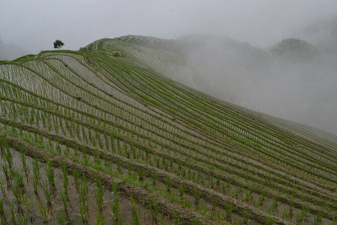 Longji Dazhai Rice Terraces Day Tour Cable Car Adventure - The Itinerary in Detail: What Makes Each Stop Special