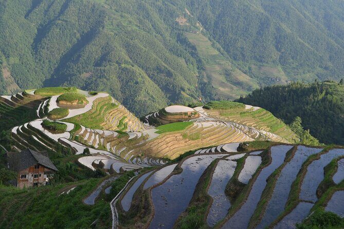 Longji Dazhai Rice Terraces Day Tour Cable Car Adventure - Final Thoughts: Who Will Love This Tour?