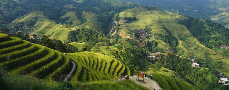 Longji Rice Terraced Fields and Minority Villages Tour - At a glance