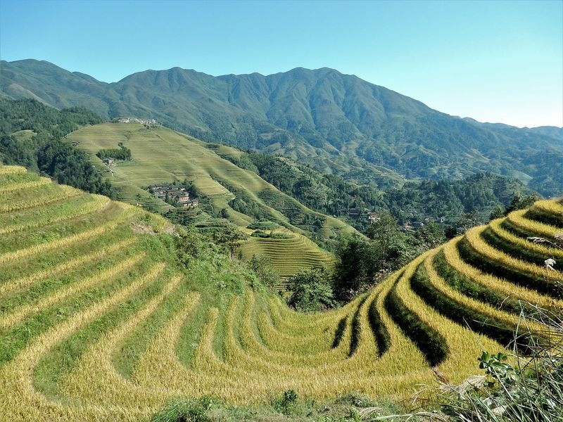 Longji Rice Terraced Fields and Minority Villages Tour - Walking from Guzhuang to Ping’an